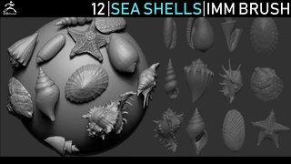 Zbrush - Seashells IMM Brush cover