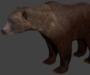 Bears pack