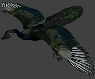 Archaeopteryx