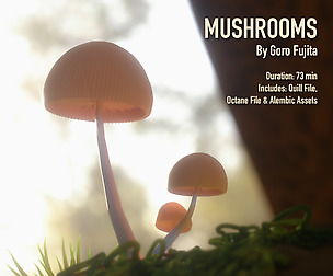Mushrooms - Tutorial Pack