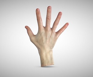 3D scan of the hand