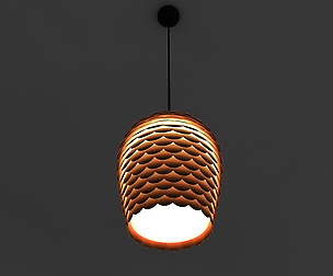 Ceiling Light