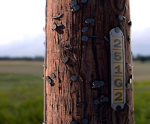 Telephone Pole (Substance Designer Material)