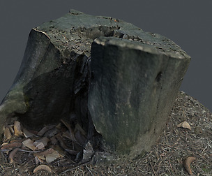 Photo Geometry_Truncated Tree 1