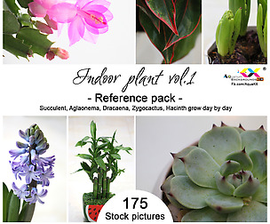 Indoor plant reference pack vol.1