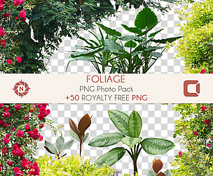 Foliage - PNG Photo Pack
