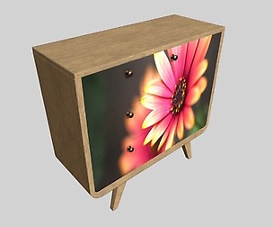 Cabinet with print