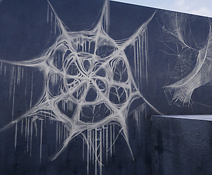 Spiderweb Materials