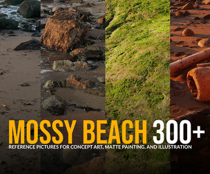 Mossy Beach Reference Pack