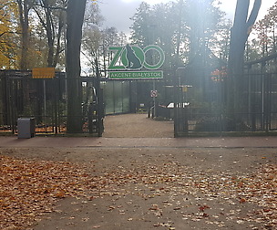 143 Photos of the Bialystok Zoo