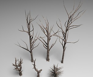 Dead tree