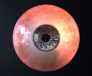 Realistic Eye Pack / PBR