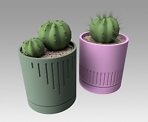 Flowerpot with cactus