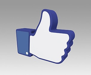 Facebook Like Sign