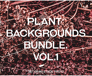 Plant backgrounds bundle 93 photo