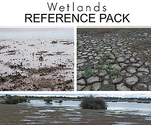 Ref Pack - Wetlands