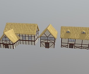 Thatched Roof House