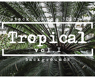 Tropical backgrounds textures vol1