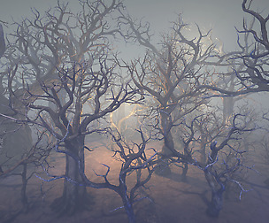 Dried trees