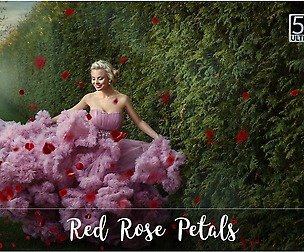 5K Red Rose Petals Overlays