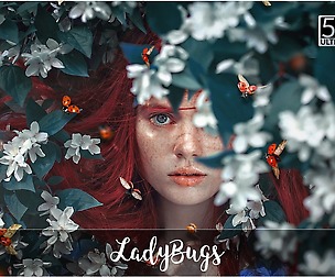 5K Ladybugs Overlays