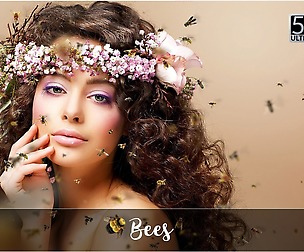 5K Bees Overlays