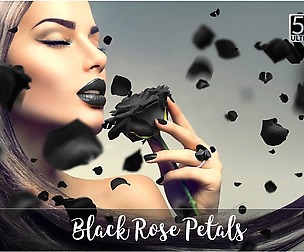 5K Black Rose Petals Overlays