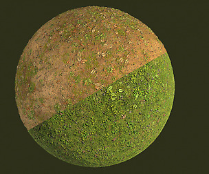 Substance Grass