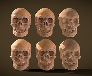 Human Skull High/Low