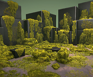 Mossy piles