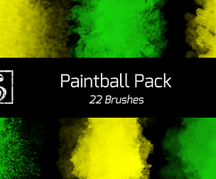 Shrineheart's Paintball Pack -22 Brushes