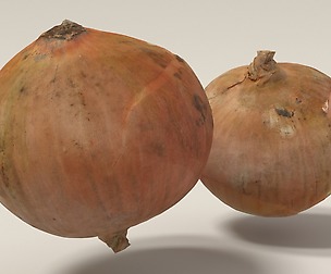onion 3d scanned