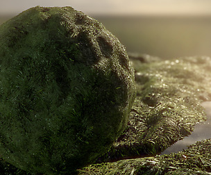 Seamless 4K long marsh grass materials