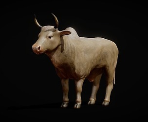 Bull real time model