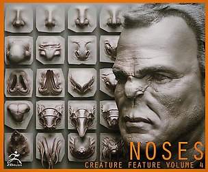 NOSES - 40 ZBrush VDM Nasal Areas