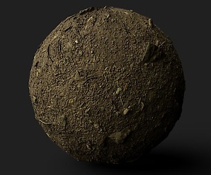PBR Scanned Rocky Forest Ground