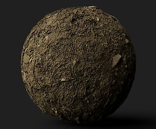 PBR Scanned Rocky Forest Ground
