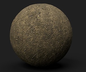 PBR Scanned Forest Ground