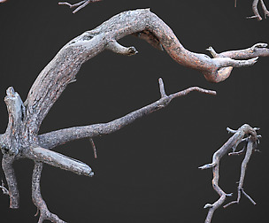 Dead tree 3d scan (SNA0003)