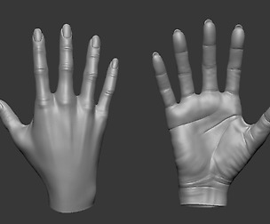 Female Hand High & Low Poly