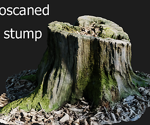 Photoscanned mossy tree stump