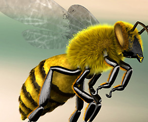 A lovely Bee 3D model
