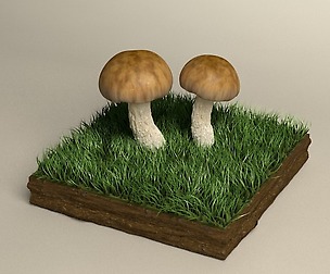 mushroom shiitake 3D model