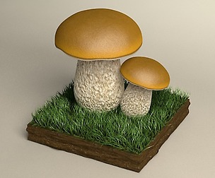 mushroom cepe 3D model