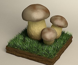 mushroom boletus 3D model