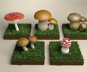 Mushrooms 3D model
