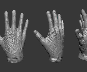 Old Human Hand Low & HighPoly 3D model