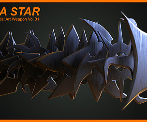 Ninja Star