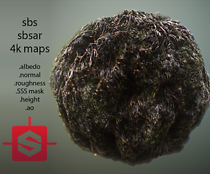 Seaweed On Rock Tileable PBR Material