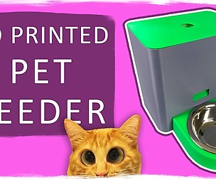 Ultimate 3d Printed Pet Feeder (FREE)